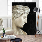 Aphrodite by Ethan Harper on GIANT ART - white fashion roman