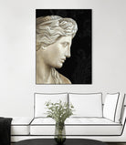 Aphrodite by Ethan Harper on GIANT ART - white fashion roman