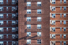 Windows I by Pexels on GIANT ART - white architectural