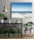 The view by Pexels on GIANT ART - beige sea scene