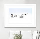 Planes by Pexels on GIANT ART - white photography planes