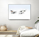 Planes by Pexels on GIANT ART - black vehicle