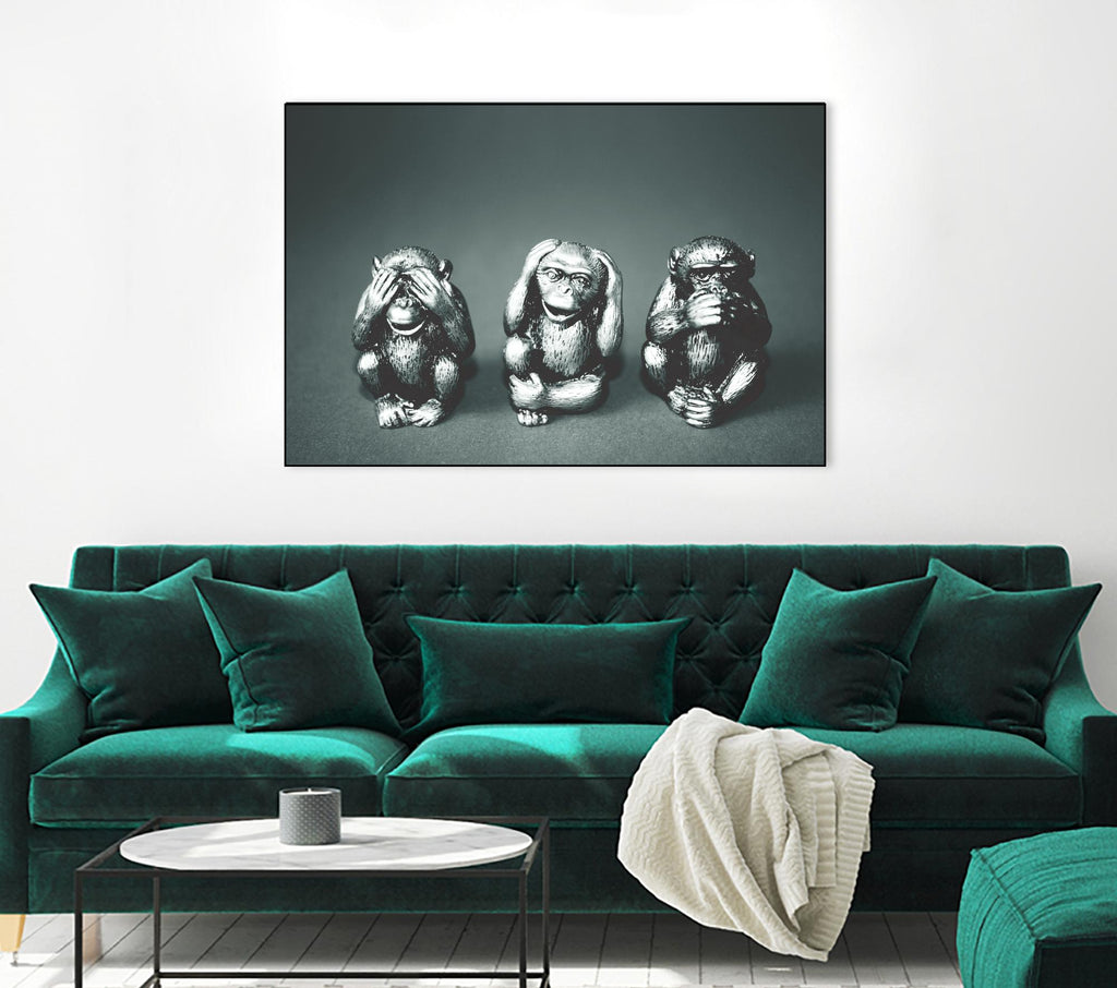 Wise monkeys by Pexels on GIANT ART - white animals