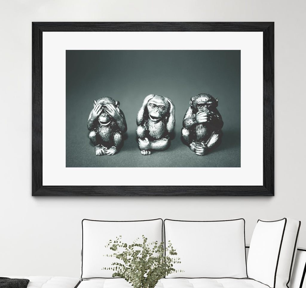 Wise monkeys by Pexels on GIANT ART - white animals