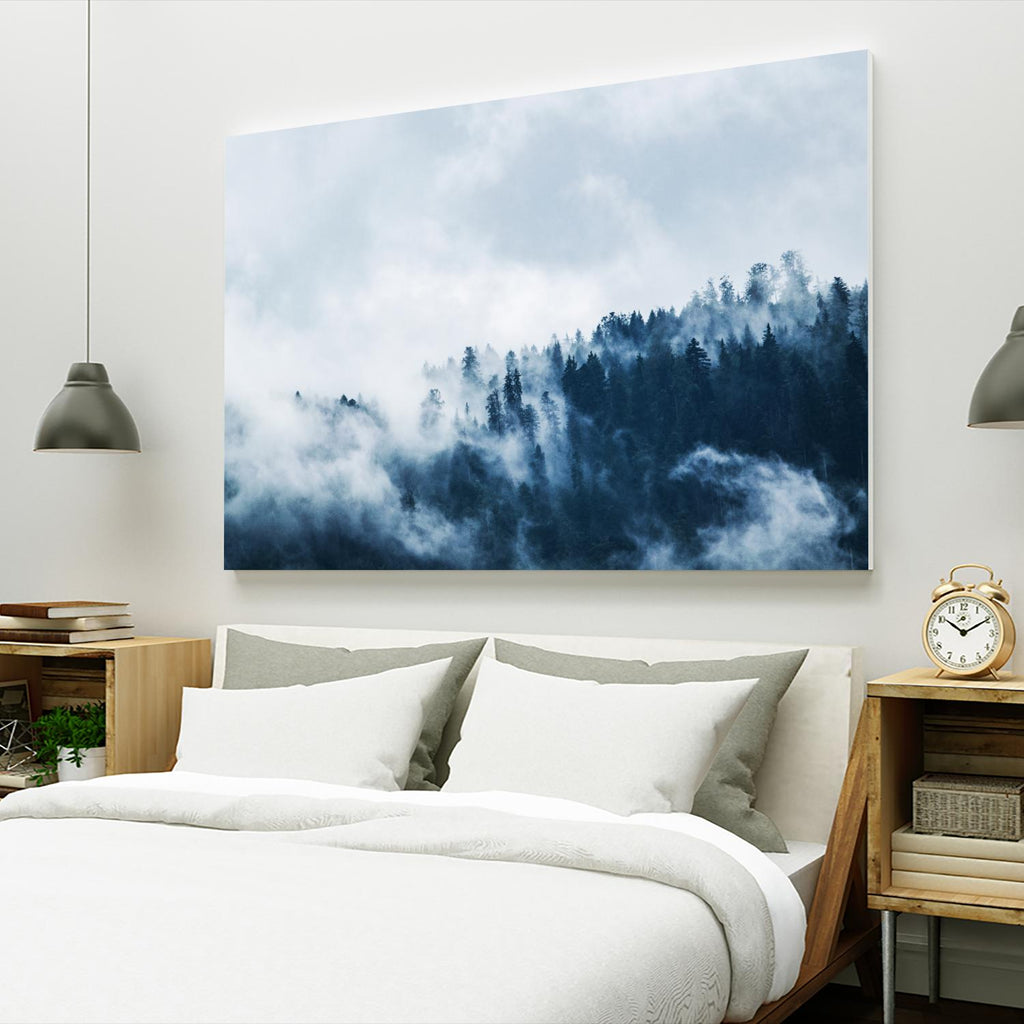 Foggy forest par Pexels sur GIANT ART - paysage blanc