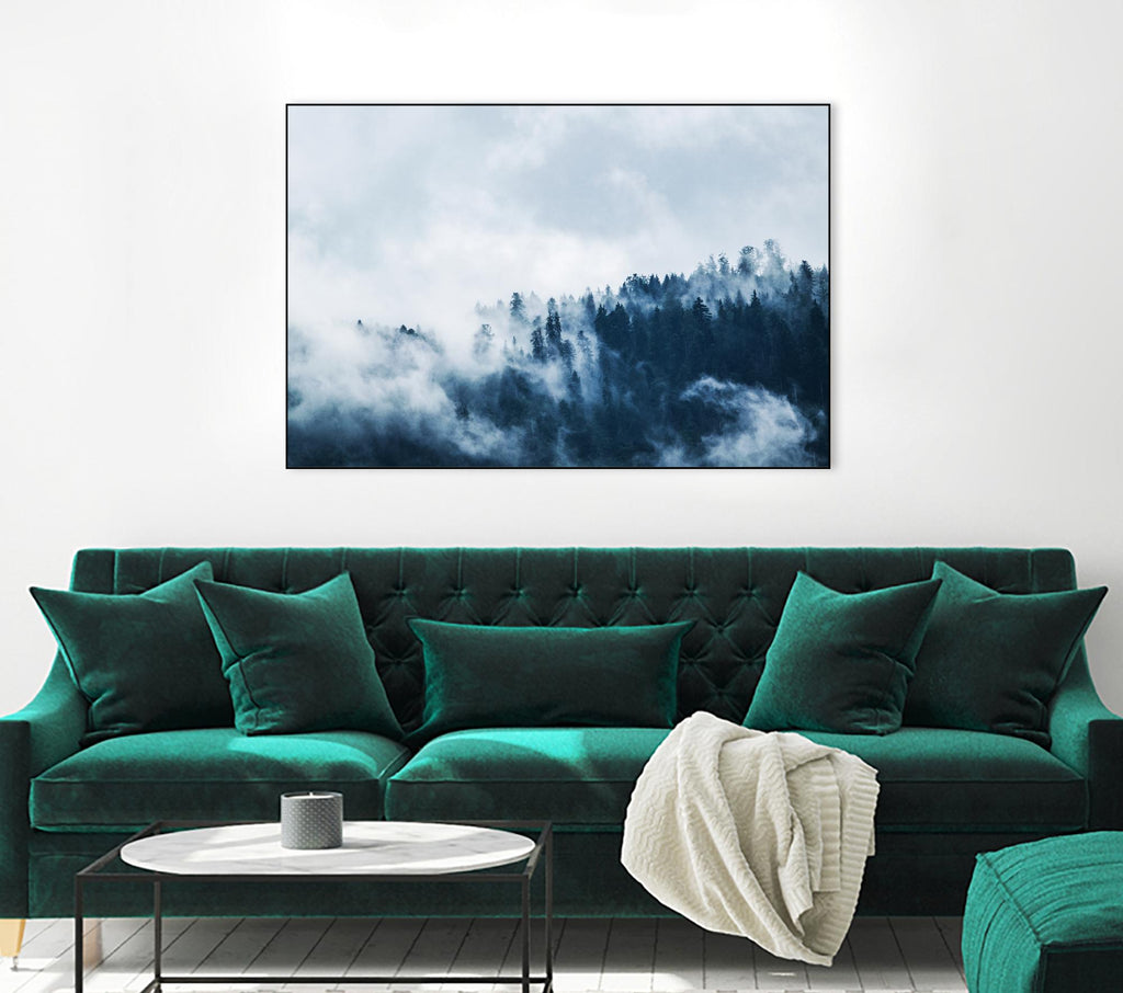 Foggy forest par Pexels sur GIANT ART - paysage blanc