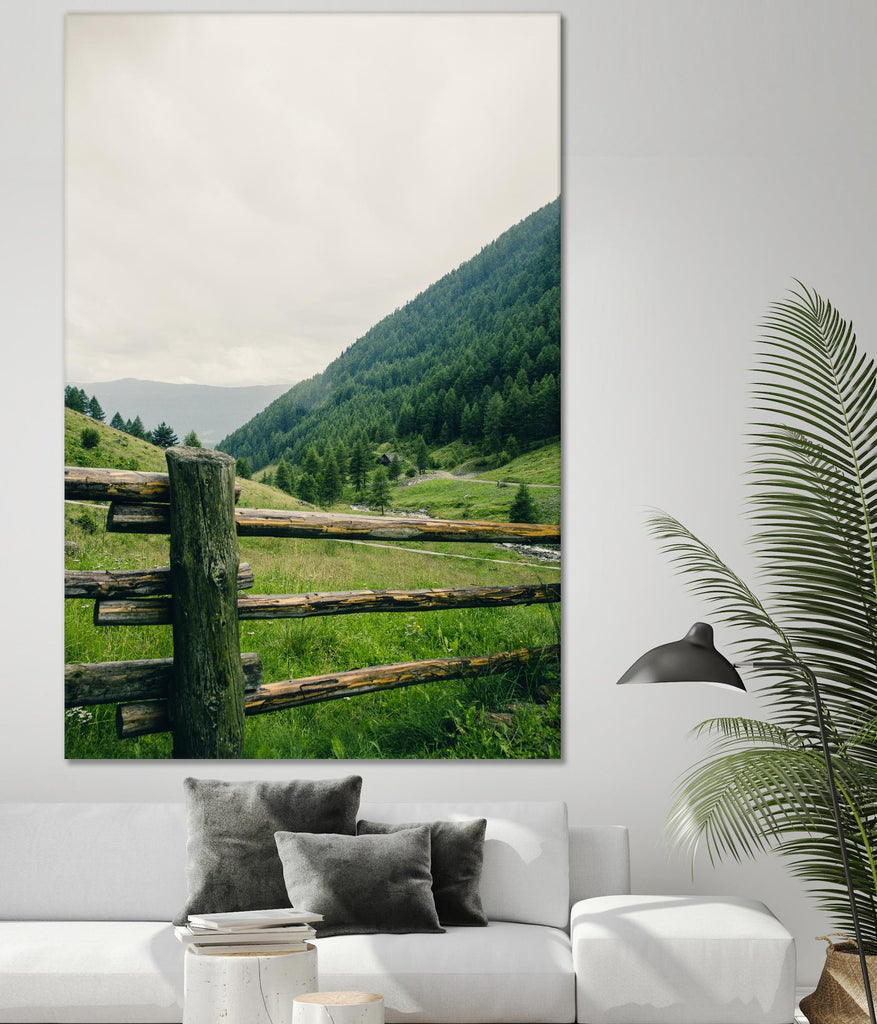 This view by Pexels on GIANT ART - white landscape
