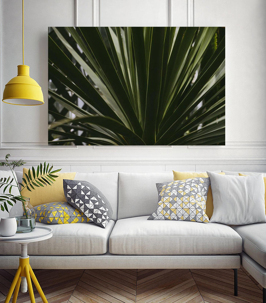 Palm by Pexels on GIANT ART - black tropical