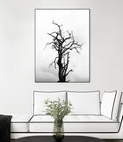 Dead tree by Pexels on GIANT ART - white trees