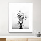 Dead tree by Pexels on GIANT ART - white trees