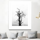 Dead tree by Pexels on GIANT ART - white trees