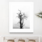 Dead tree by Pexels on GIANT ART - white trees