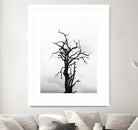 Dead tree by Pexels on GIANT ART - white trees