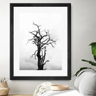 Dead tree by Pexels on GIANT ART - white trees