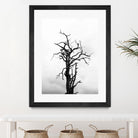 Dead tree by Pexels on GIANT ART - white trees