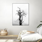 Dead tree by Pexels on GIANT ART - white trees