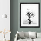 Dead tree by Pexels on GIANT ART - white trees