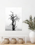 Dead tree by Pexels on GIANT ART - white trees