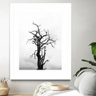 Dead tree by Pexels on GIANT ART - white trees