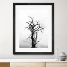 Dead tree by Pexels on GIANT ART - white trees