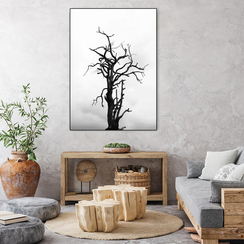 Dead tree by Pexels on GIANT ART - white trees