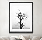 Dead tree by Pexels on GIANT ART - white trees