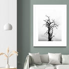 Dead tree by Pexels on GIANT ART - white trees