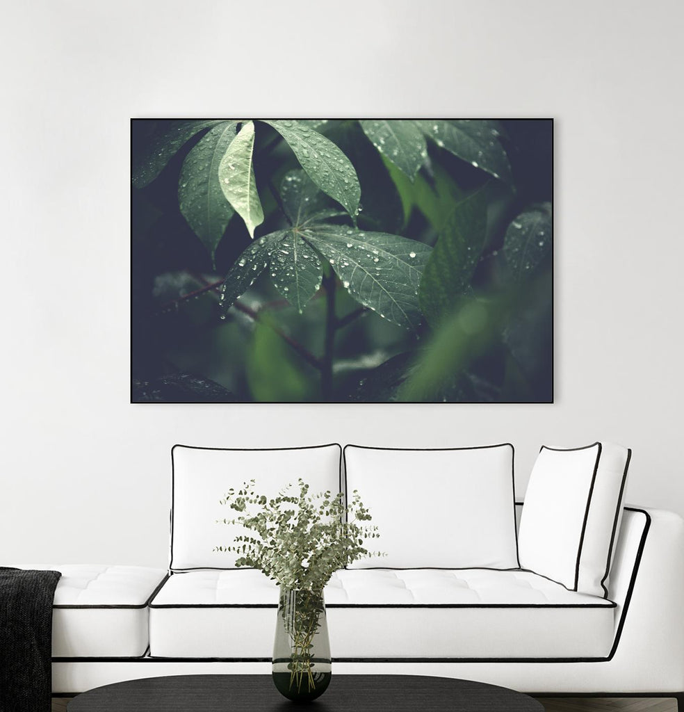 Feuilles par Pexels sur GIANT ART - botanique noire