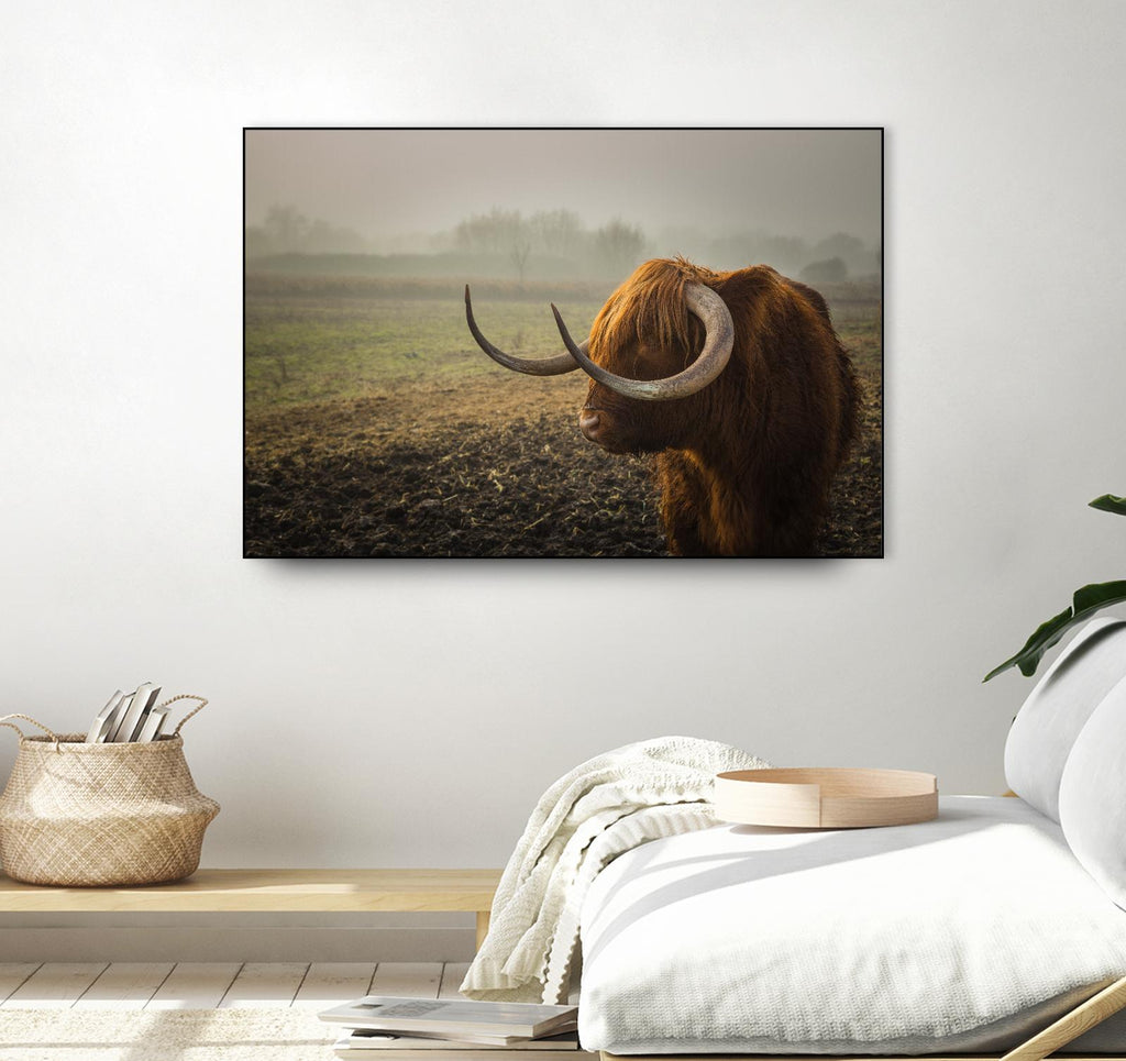 Longhorn by Pexels on GIANT ART - green animals