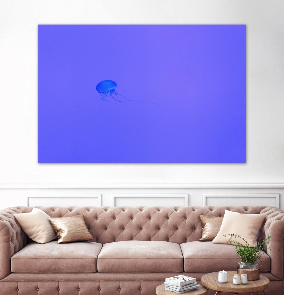 Jellyfish Jam by Pexels on GIANT ART - purple animals