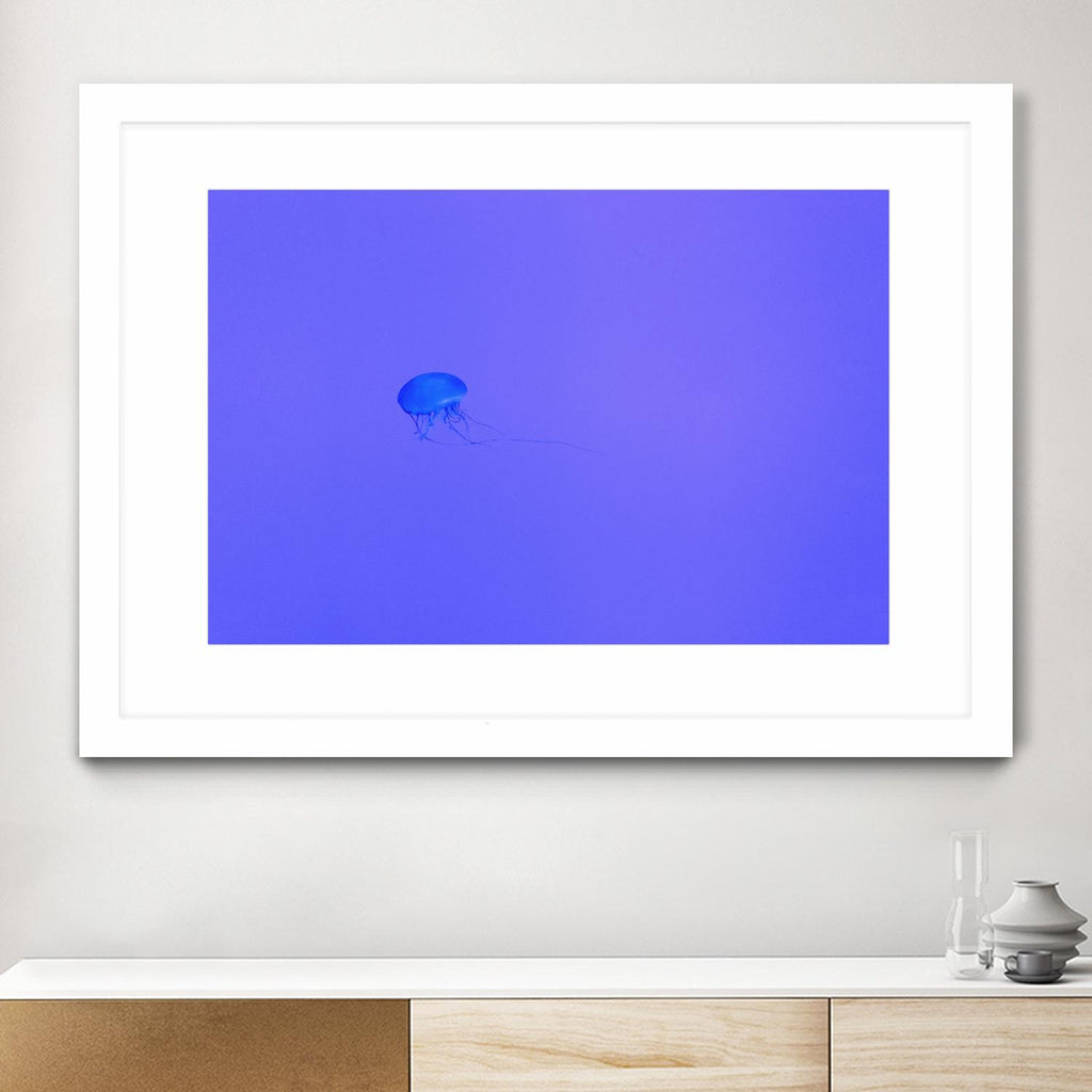 Confiture de méduses par Pexels sur GIANT ART - animaux violets