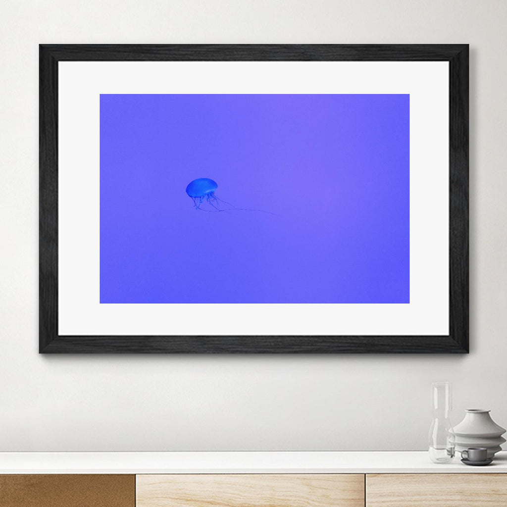 Confiture de méduses par Pexels sur GIANT ART - animaux violets