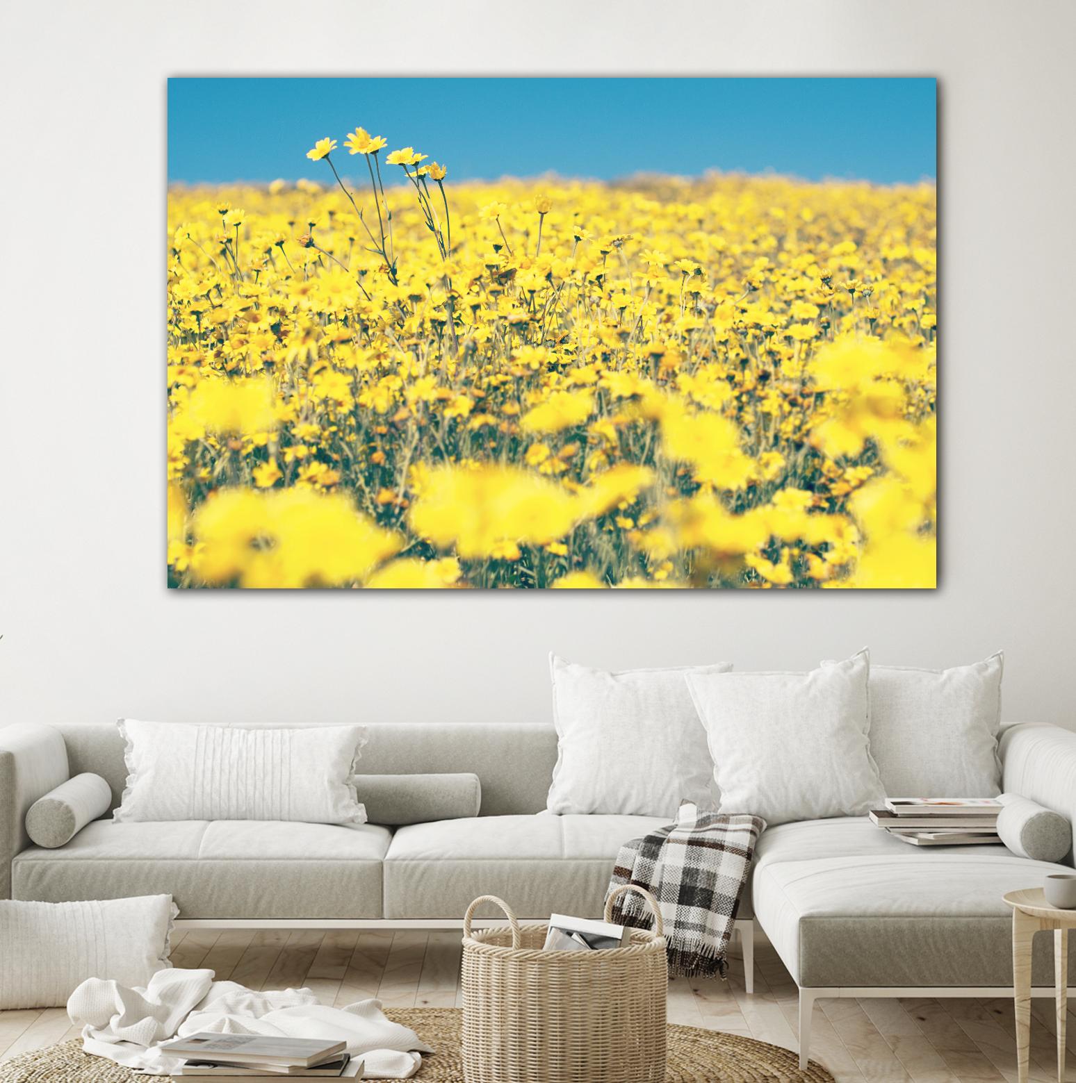 Yellow Floral by Pexels on GIANT ART - blue floral