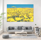 Yellow Floral by Pexels on GIANT ART - blue floral