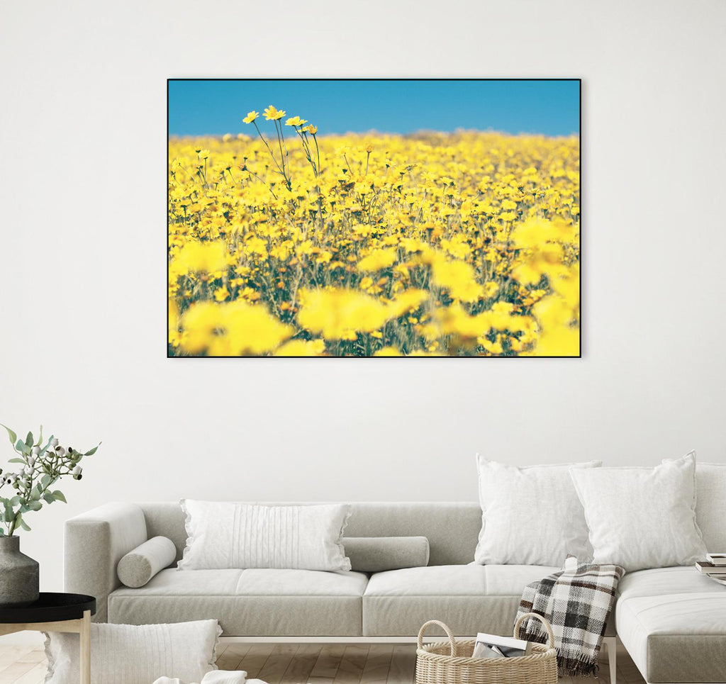 Yellow Floral by Pexels on GIANT ART - blue floral