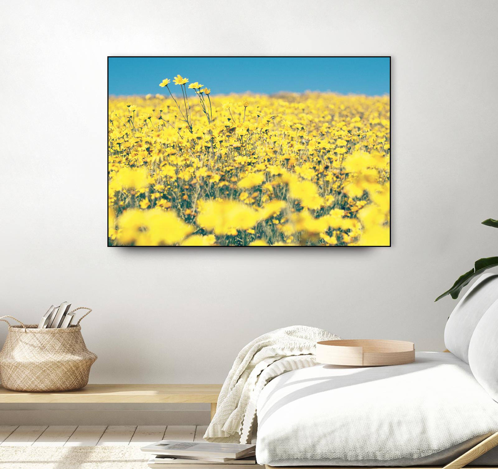 Yellow Floral by Pexels on GIANT ART - blue floral