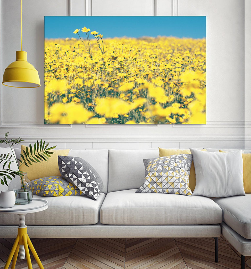 Yellow Floral by Pexels on GIANT ART - blue floral