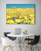 Yellow Floral by Pexels on GIANT ART - blue floral