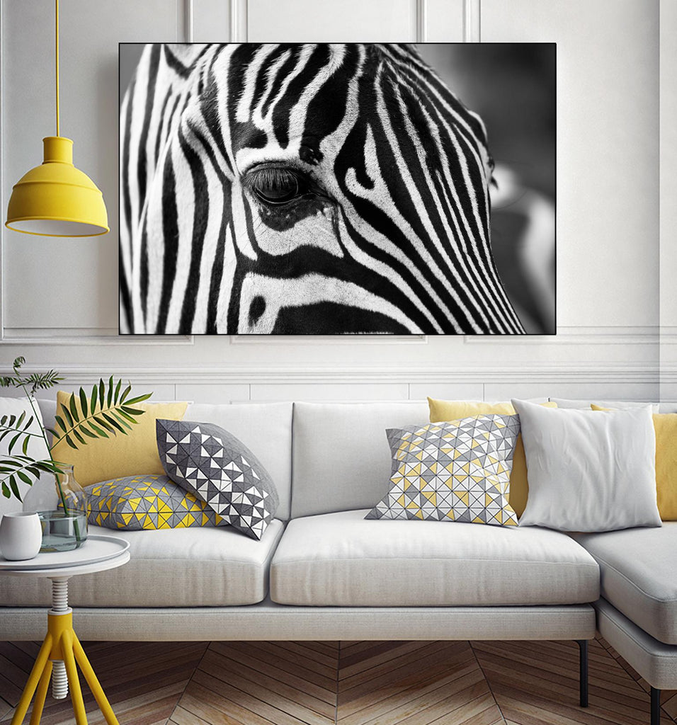 Zoomed Zebra par Pexels sur GIANT ART - animaux blancs