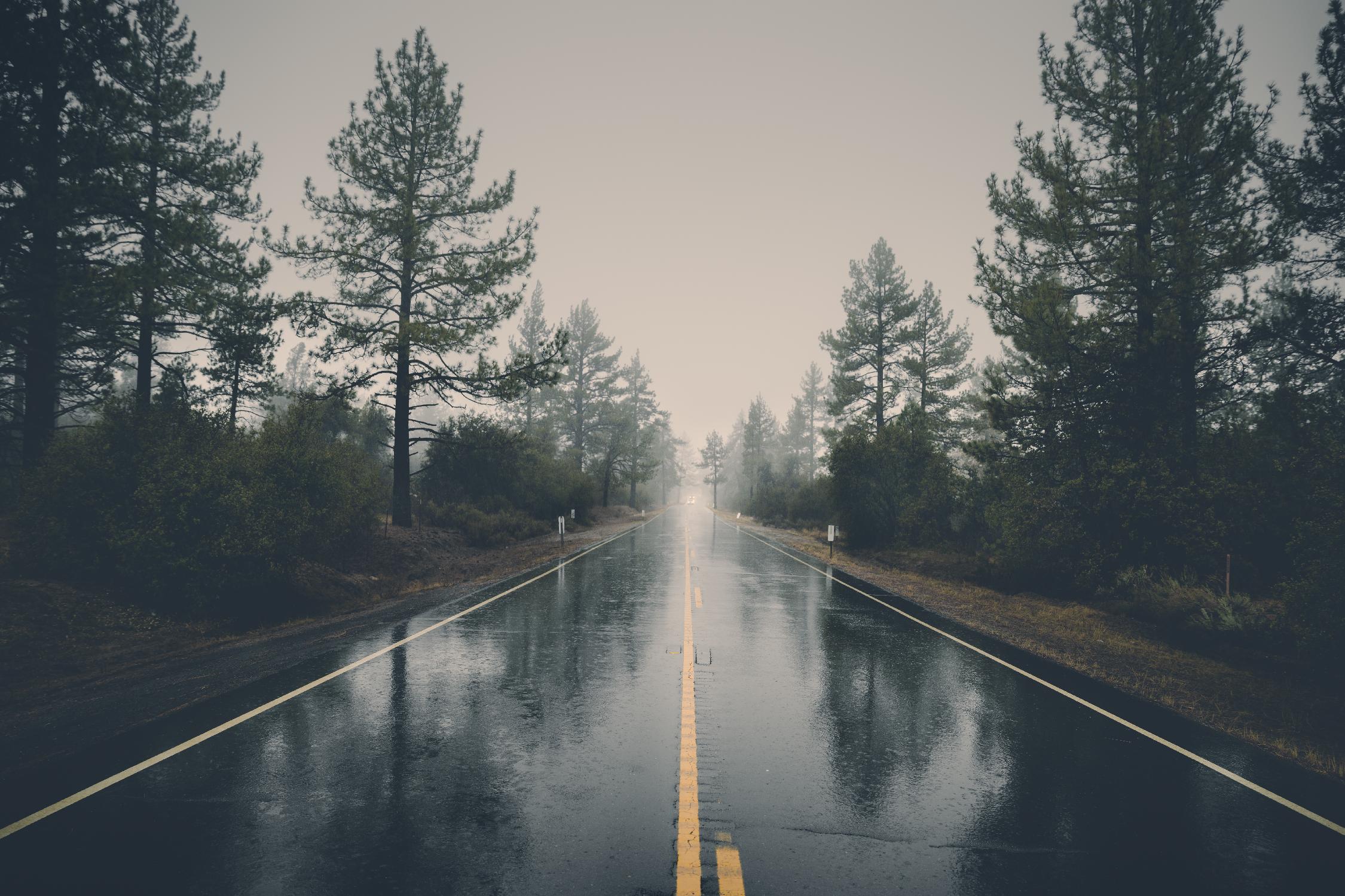 Rainy day par Pexels sur GIANT ART - paysage noir