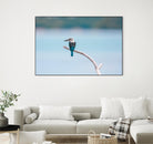 Bird on a branch by Pexels on GIANT ART - white animals