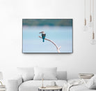 Bird on a branch by Pexels on GIANT ART - white animals