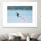 Bird on a branch by Pexels on GIANT ART - white animals