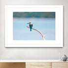 Bird on a branch by Pexels on GIANT ART - white animals