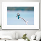 Bird on a branch by Pexels on GIANT ART - white animals