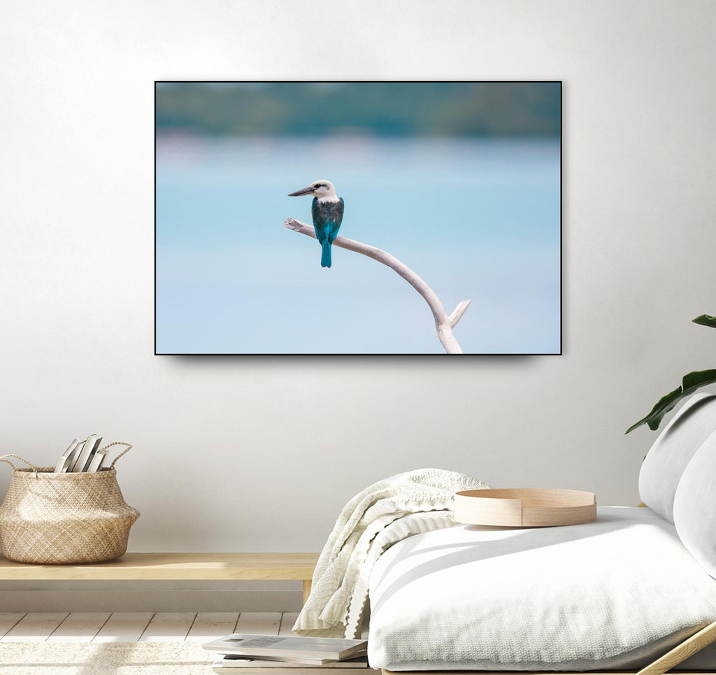Oiseau sur une branche par Pexels sur GIANT ART - animaux blancs
