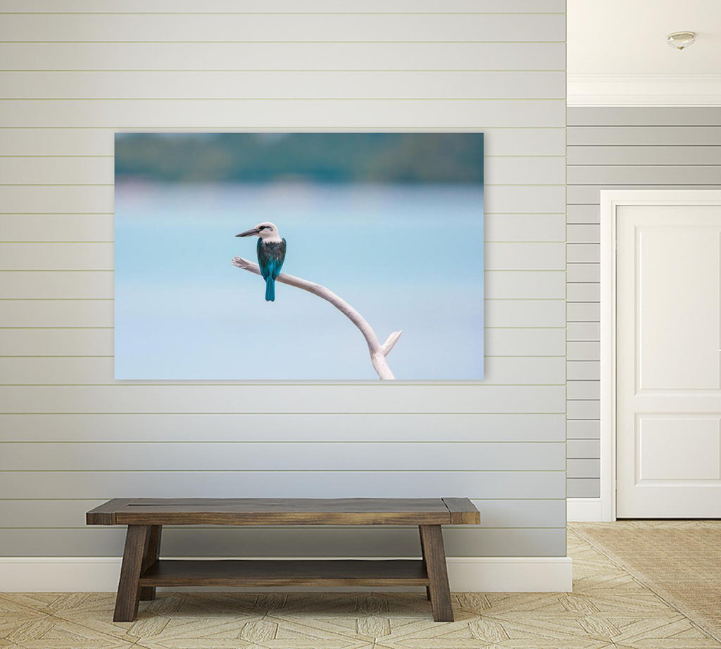 Oiseau sur une branche par Pexels sur GIANT ART - animaux blancs