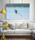 Bird on a branch by Pexels on GIANT ART - white animals