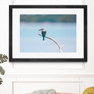 Bird on a branch by Pexels on GIANT ART - white animals