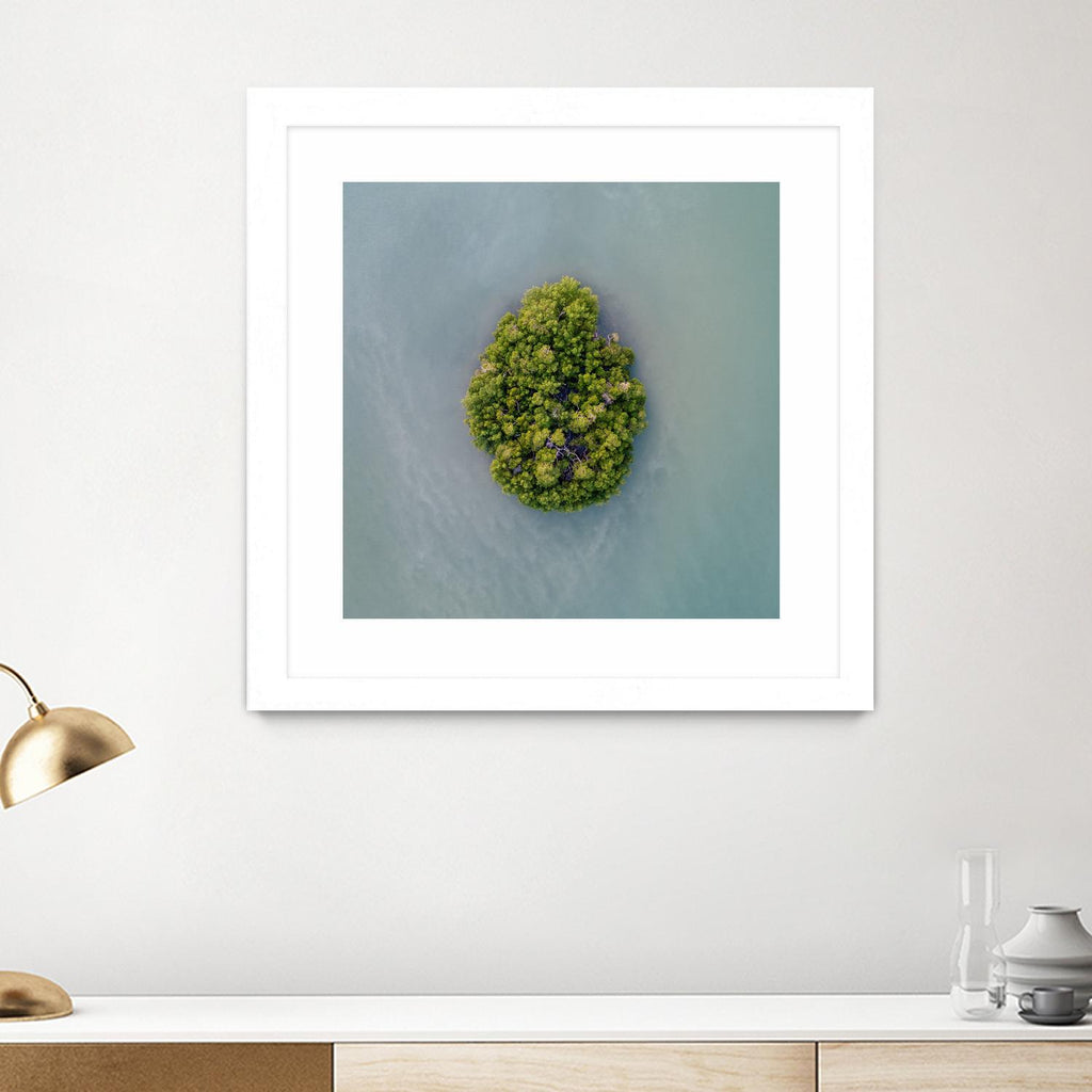 Lonely Island par Pexels sur GIANT ART - scène de mer verte